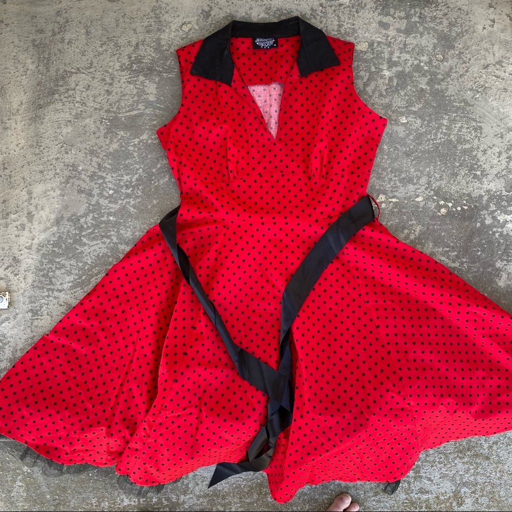 Hearts & Roses Polka Dot Swing Shirt Dress
